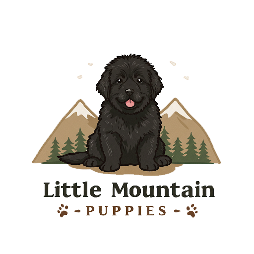 Little Mountain Puppies